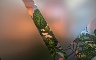 Spatiu de tip birou, 100 mp, aflat la parterul unei cladiri in zona Timpuri Noi - Poză 7