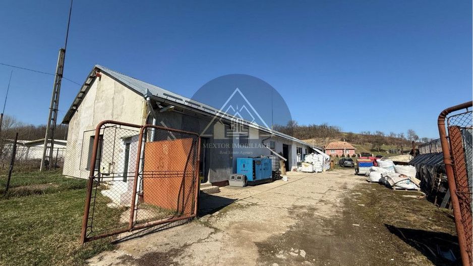 Halã de vânzare - Poză 6