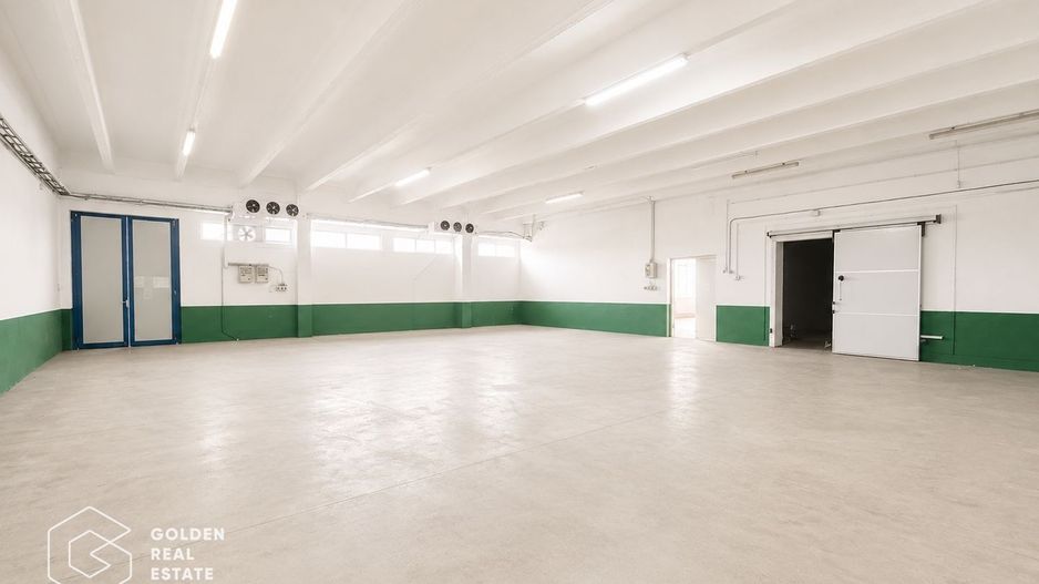 Hala Industriala Premium, Zona de Sud, Timisoara - Poză 1