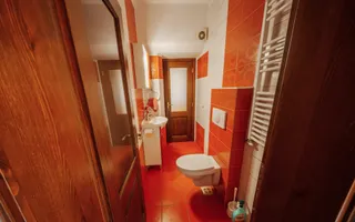 Case de vânzare Sibiu | Trei Stejari | 320 mp, acces din 2 străzi - Poză 11