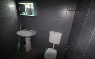 Imobil  cu destinatie mixta - Poză 13