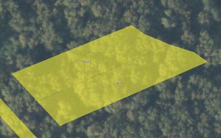 Padure Lapusel 48 ari - Poză 2