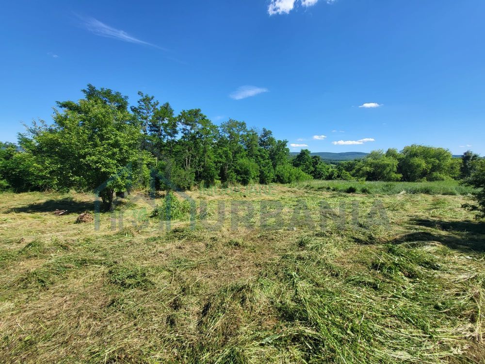 Teren de vânzare, Ciurea – 771 mp, intravilan, utilități - Poză 6