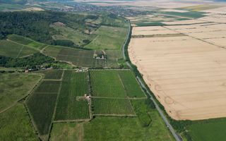 Vie Tradițională „Halta Lupilor” - Poză 32