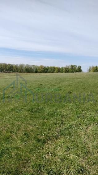 Teren extravilan 7.200 mp, Bordea - Grajduri, oportunitate investiție - Poză 10