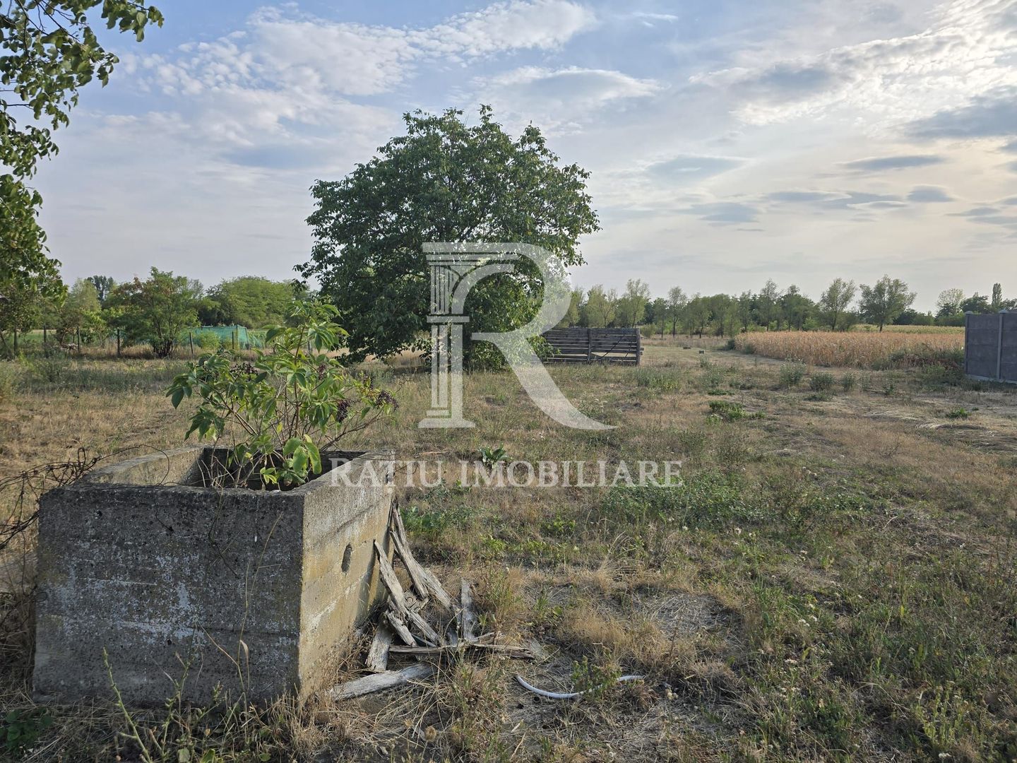 Teren intravilan 6.514mp | 39m front stradal | Ciocaia | Săcuieni - Poză 5