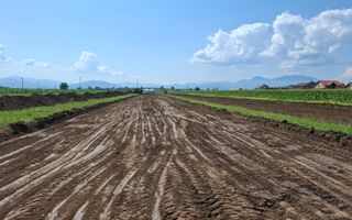 Teren Pretabil Investitie Harman - Poză 9