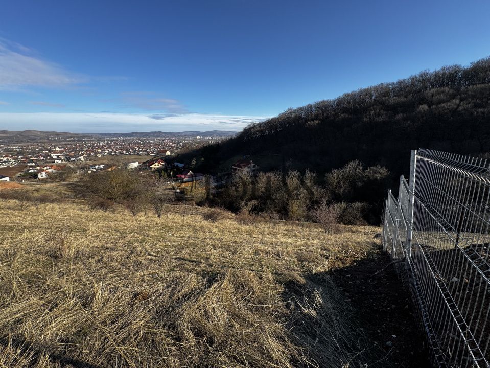 Oportunitate investiție 1153mp Tarnița - Micești - Poză 4