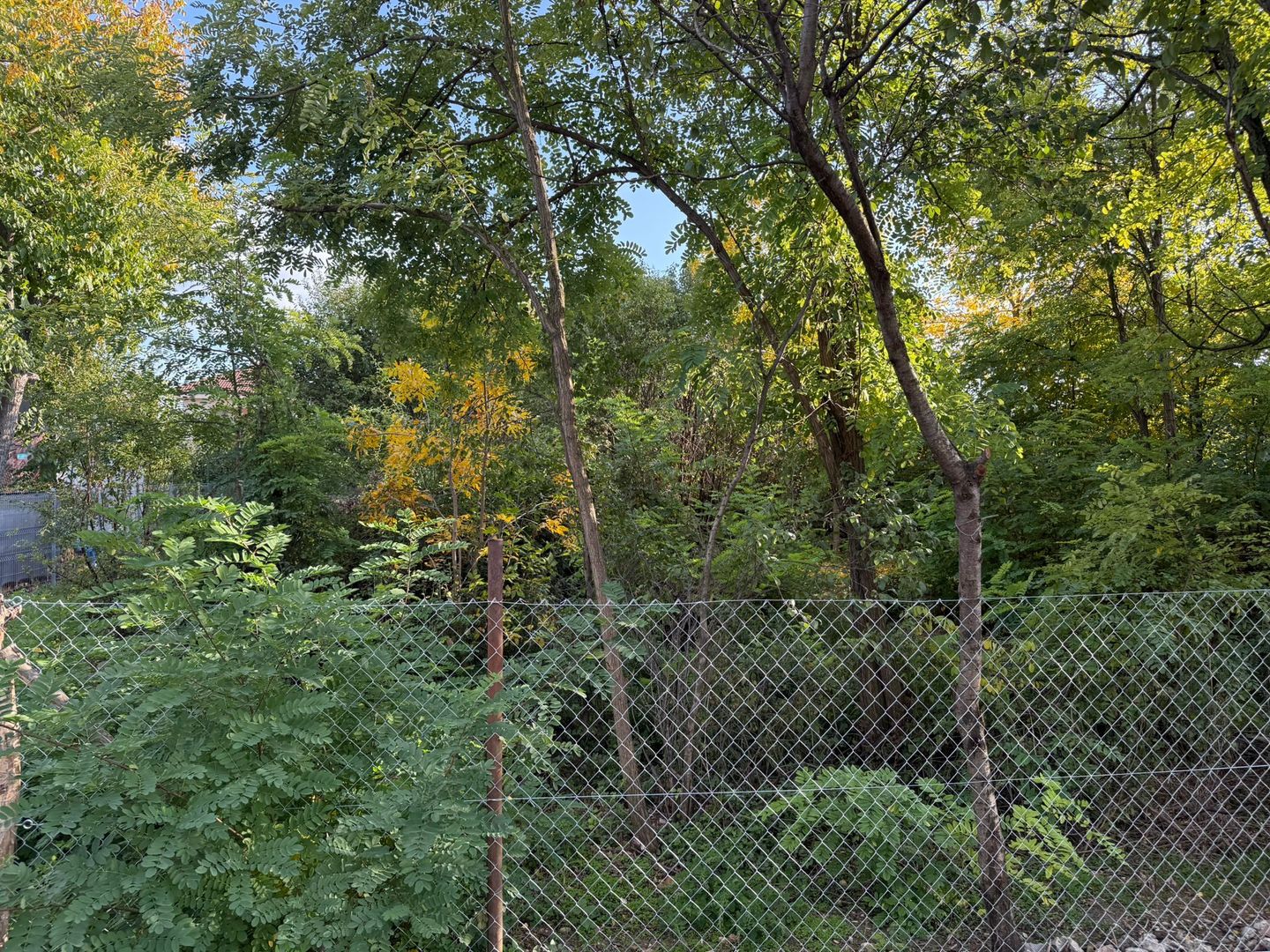 COMISION 0 % | Teren Intravilan de Vanzare | Zona Plopi | Investitie - Poză 3