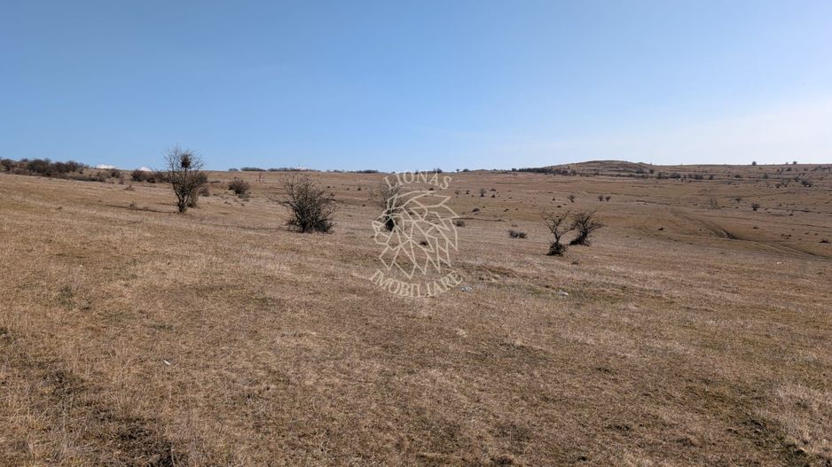 Teren 130.000 mp (13 ha)-Parcelabil-investitie-Zona Cighir - Poză 1