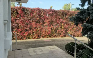 VILĂ IMPRESIONANTĂ CU PARC PRIVAT | 400 mp Construiți | 2.800 mp Teren - Poză 19