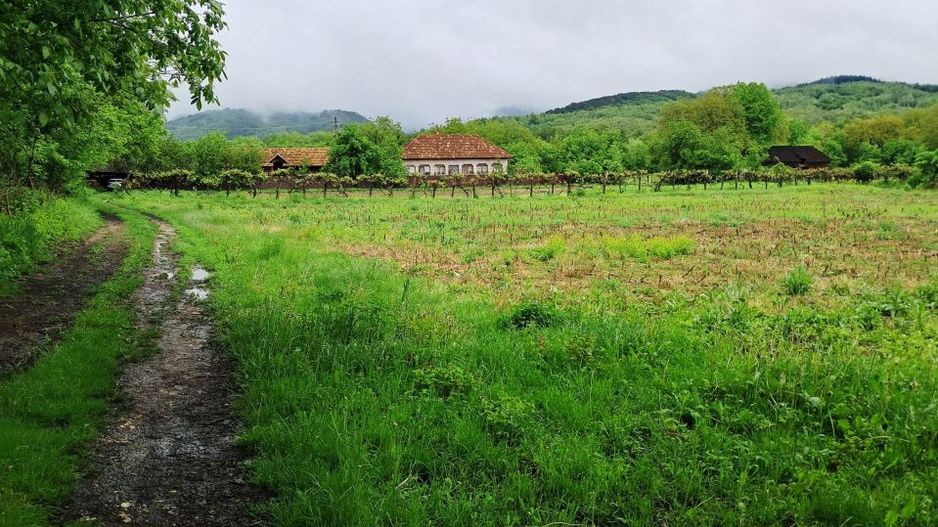Casă și teren intravilan Polovragi - Poză 8
