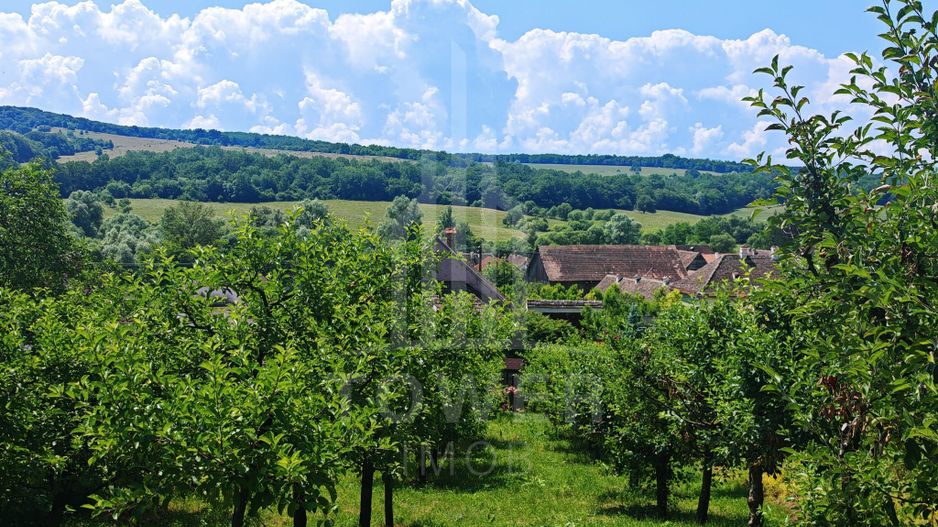 Casă săsească autentică în Bruiu (Sibiu) - Poză 19