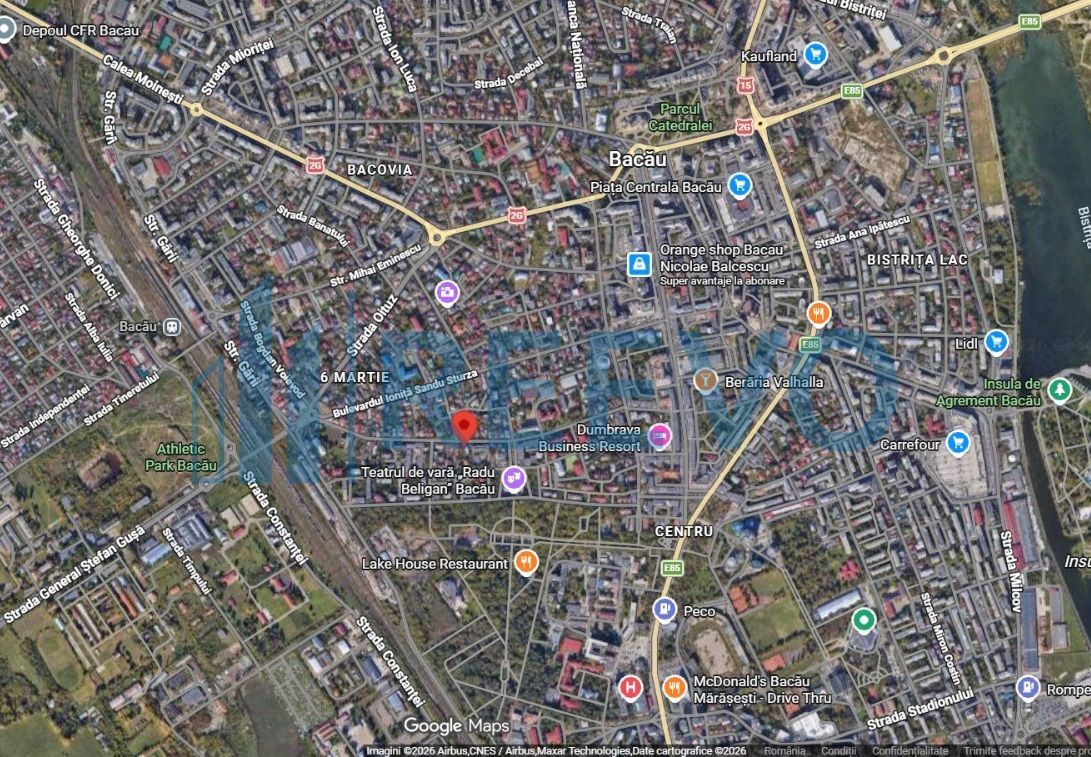 Spațiu comercial / casă individuală de închiriat, Str. Vasile Alecsandri, Bacău - Poză 20