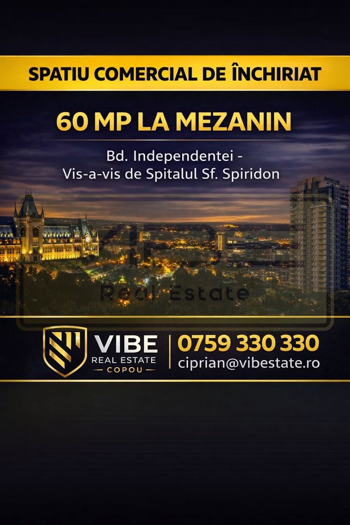 Spatiu de birou/comercial Bd. Independentei - Spiridon - Poză 1