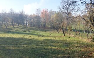 TEREN INTRAVILAN 3000 MP, CAMPULUNG - Poză 2