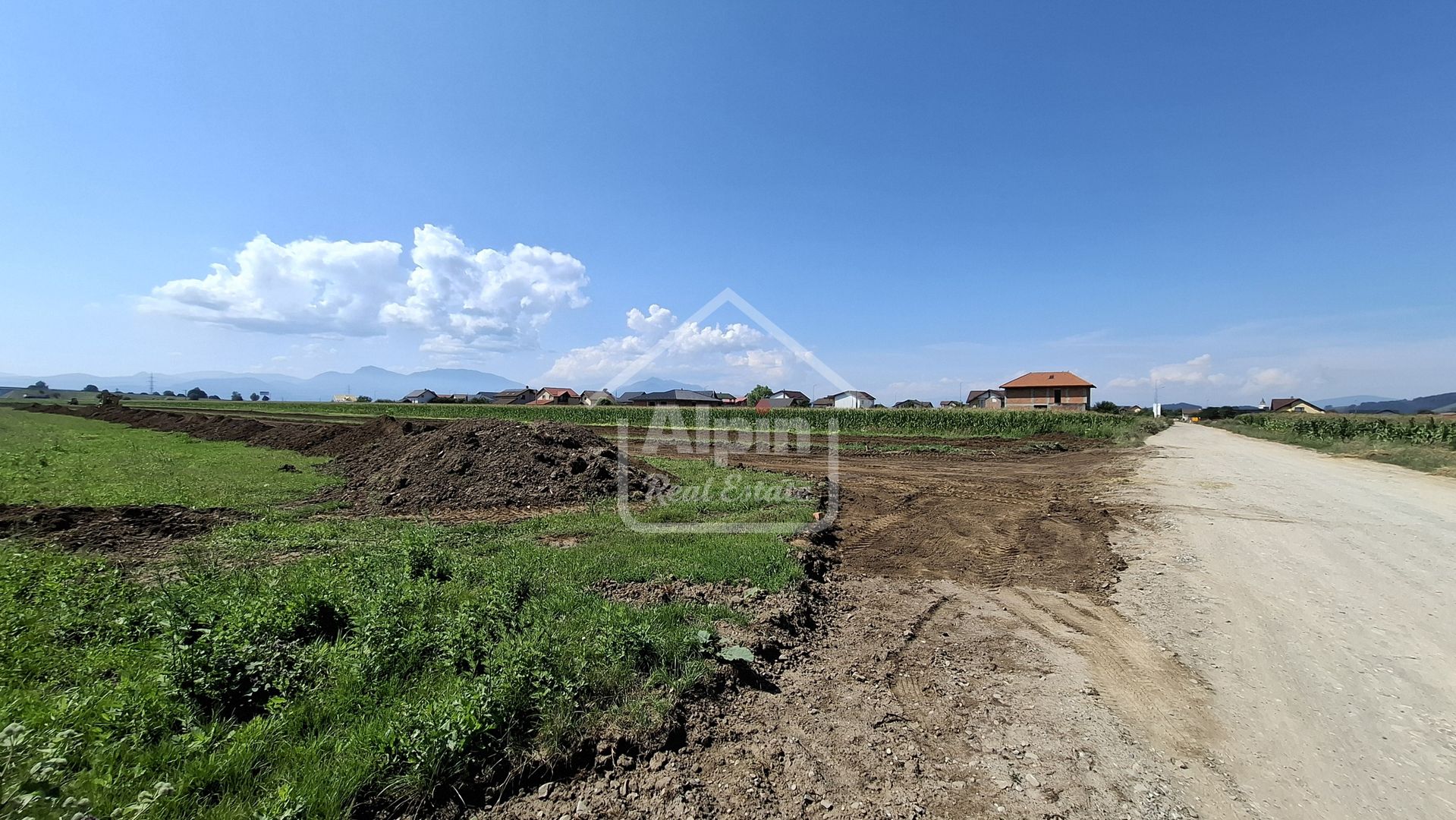 Terenuri Intravilane  Harman - Poză 4