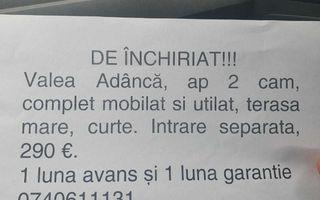 Apartament 2 camere de inchiriat, Valea Adanca, mobilat si utilat, terasa mare, curte, intrare separata, 290 Euro/luna - Poză 8