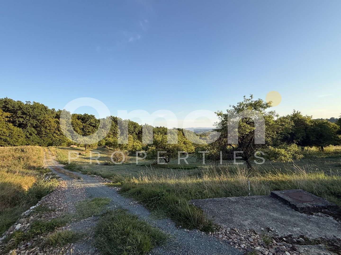 Teren intravilan de vânzare 7.000 mp – Groși, spre Dumbrăvița - Poză 1