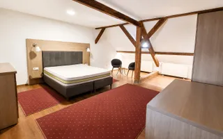 Pensiune 12 camere de închiriat | Central, Sibiu | terasă - Poză 54