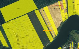 Lot 1000 mp in umbra padurii cu view la lacul academiei din Caciulati - Poză 6