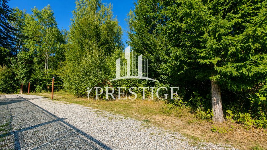 TEREN INTRAVILAN 744 MP | VALEA AVRIGULUI | IDEAL PENTRU CABANĂ - Poză 2