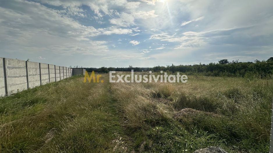 Teren intravilan 530 Mp | Albota - Poză 2