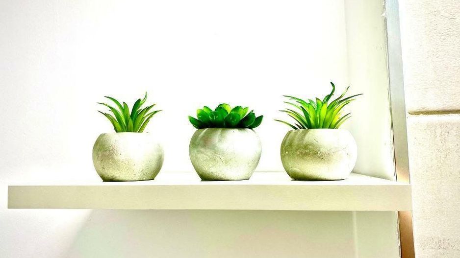 Apartament 2 camere Floreasca Pet Friendly - Poză 11