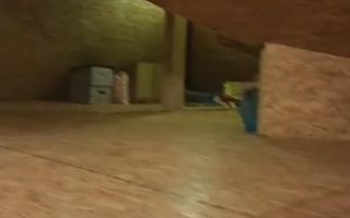 Apartament 2 camere de vânzare . - Poză 26