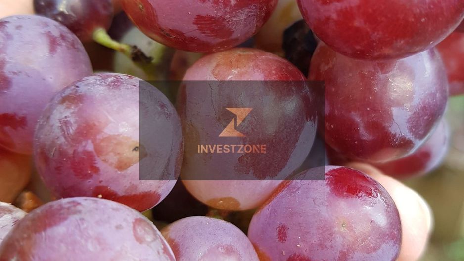 Teren cu utilități 2052 mp - Oradea - str. Făgetului - Poză 10