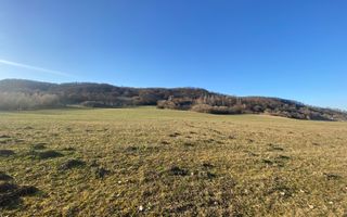 Teren de 7.500 mp de vânzare în Bradu, Avrig-COMISION 0% – lângă râul Olt. - Poză 3