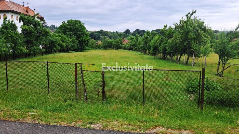 TEREN INTRAVILAN NOVACI - Poză 3