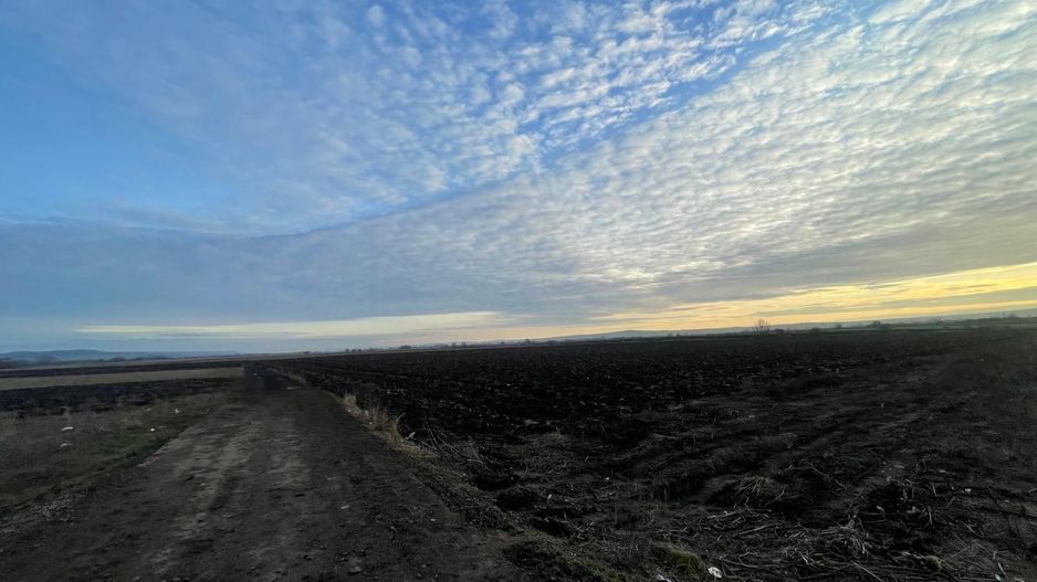 TEREN EXTRAVILAN | 82 ARI | PERIFERIA ORASULUI - Poză 9