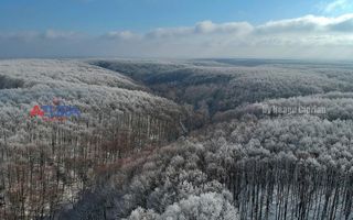 COMISION 0% -Casa deosebita Ciocanai - Poză 49