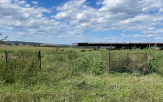 Parcela ideala pentru o casa - Teren Intravilan 1000mp - Jucu de Sus - Poză 4