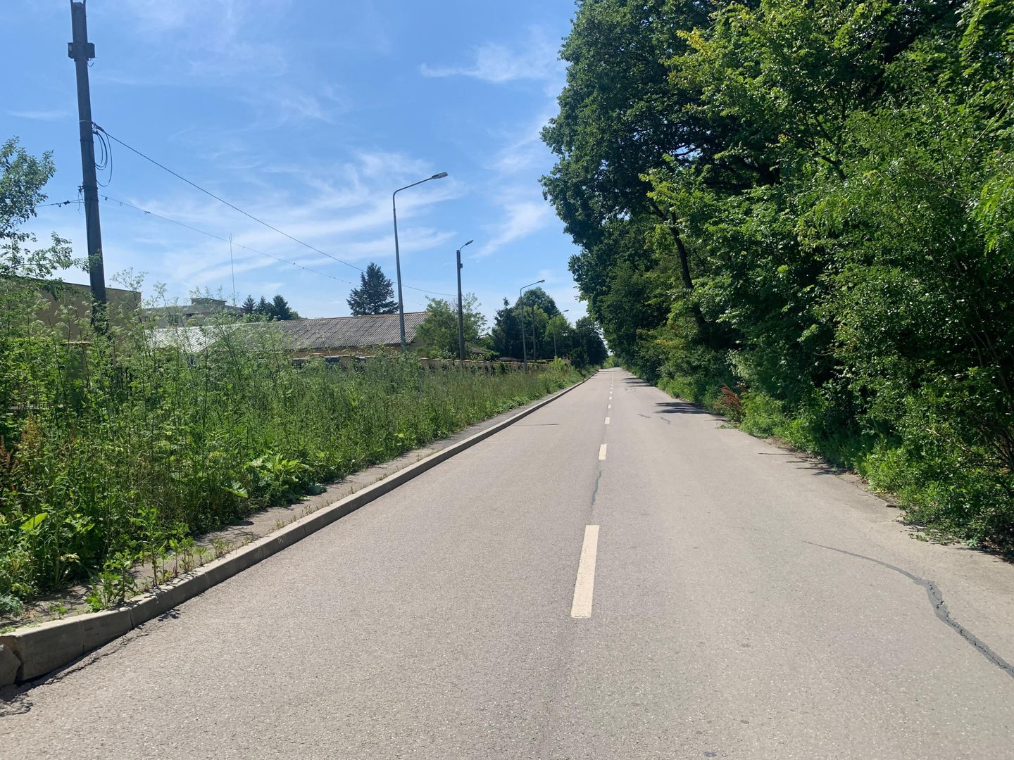 192842 mp teren in Padurea Baneasa proiect exclusivist - Poză 5