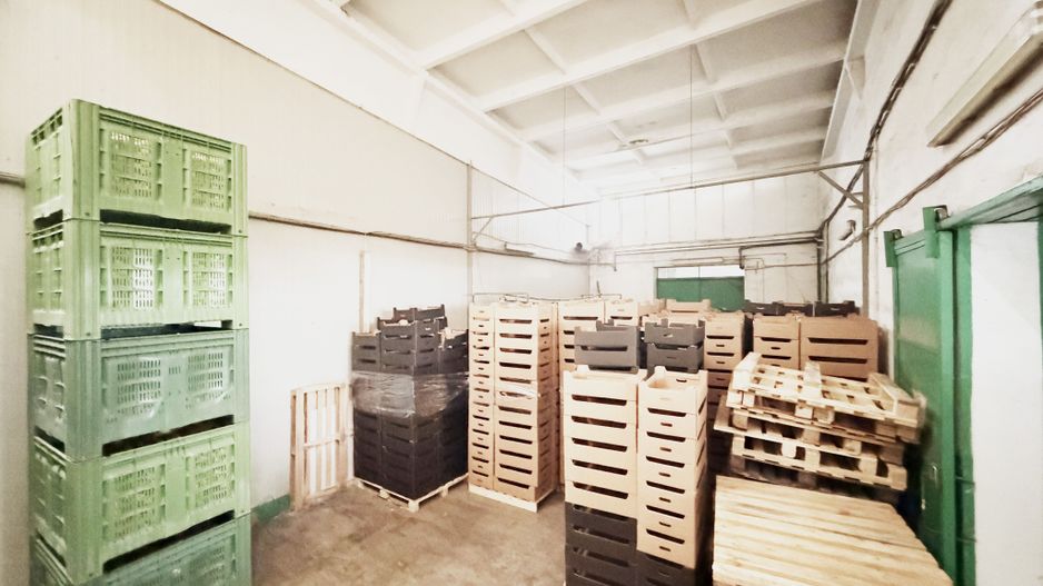 Hala industriala de vanzare Arad – 589 mp - Poză 4