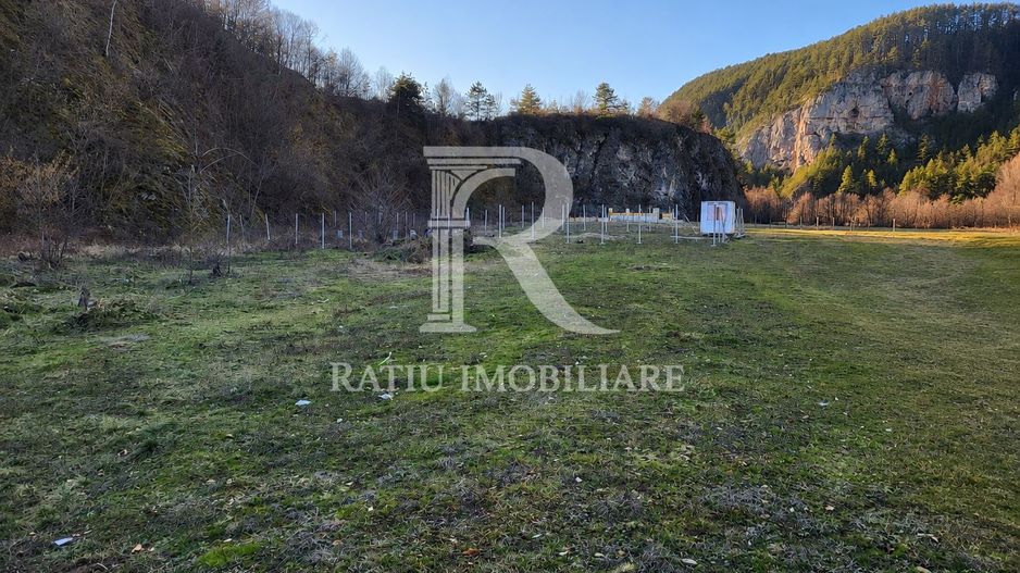 Teren intravilan | Loc de cabana |  Balnaca | Bihor - Poză 3