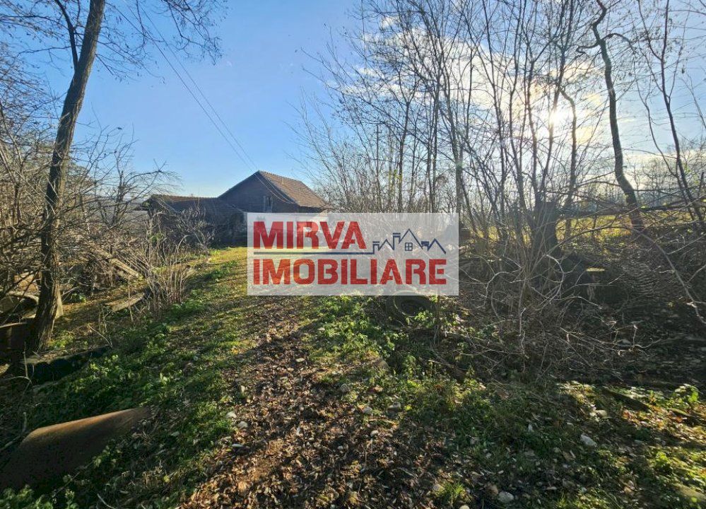 Vanzare casa plus anexa, teren 3843 mp, in Sat Pietriceaua - Poză 2
