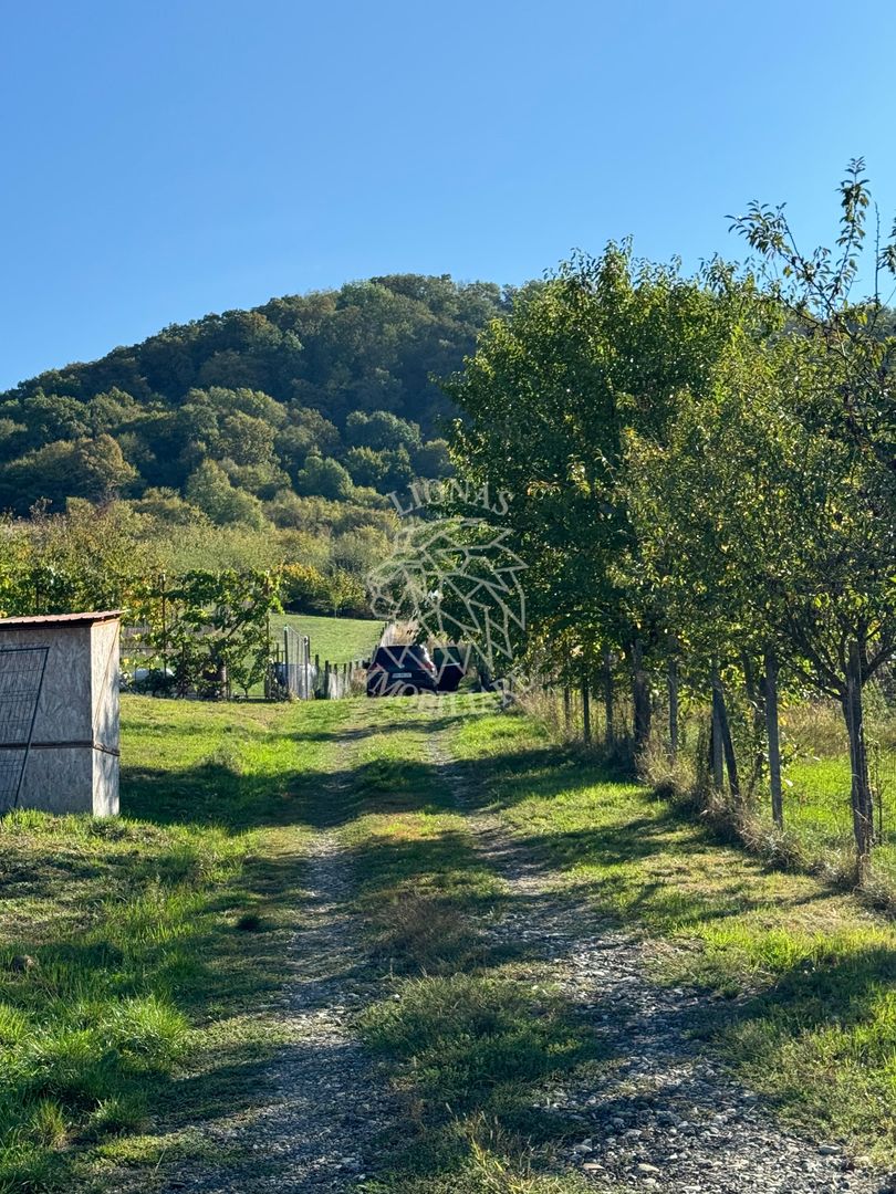 Parcele 500/600 mp-intravilan-utilitati-panoramic-Valea Ghinzii - Poză 8