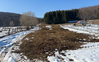 Teren intravilan 4521mp lângă pădure-valea Doftanei -Calea Brasovului - Poză 2