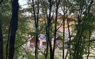 Casa individuala superba, cu arhitectura scandinava, moderna - langa padure, teren generos - Poză 6
