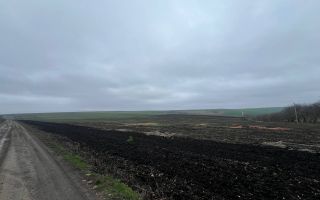 Teren Agricol 5.24 HA com. Cruzești mun. Chișinău - Poză 9