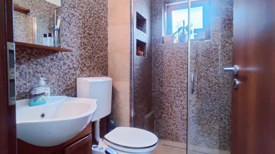 CASA  INDIVIDUALA SACALAZ 135 MP CU 476 MP TEREN - Poză 5