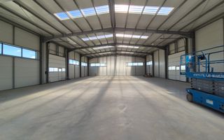 Hala - 1400 mp  # plus-imo.ro - Poză 18