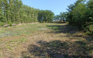 Casă renovată în stil tradițional, Romanesti, Iași – 3 camere, 50 mp utili, teren 3240 mp - Poză 11