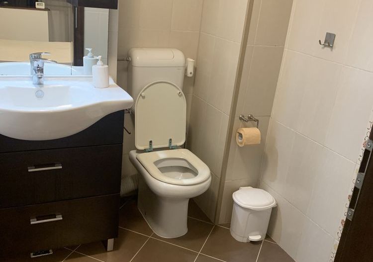 Girocului | 3 Camere | Etaj 2 | Decomandat | Centrala Prorprie | Aer Conditionat - Poză 8