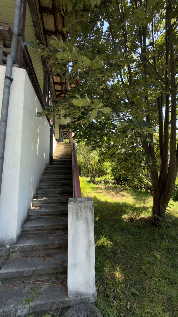 Casa | Bradetu, Arges | Crama | Tranfagarasan | Vidraru - Poză 32
