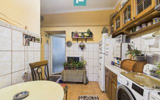 Apartament cu 1 cameră, 44 mp, parter, Iosefin - Poză 4