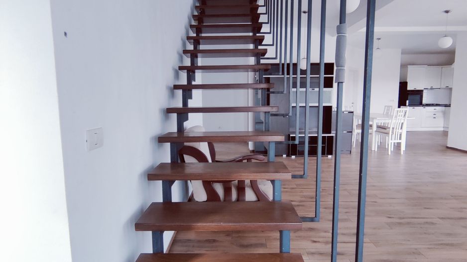 CASA SACALAZ 170 MP CU 640 MP TEREN - Poză 20